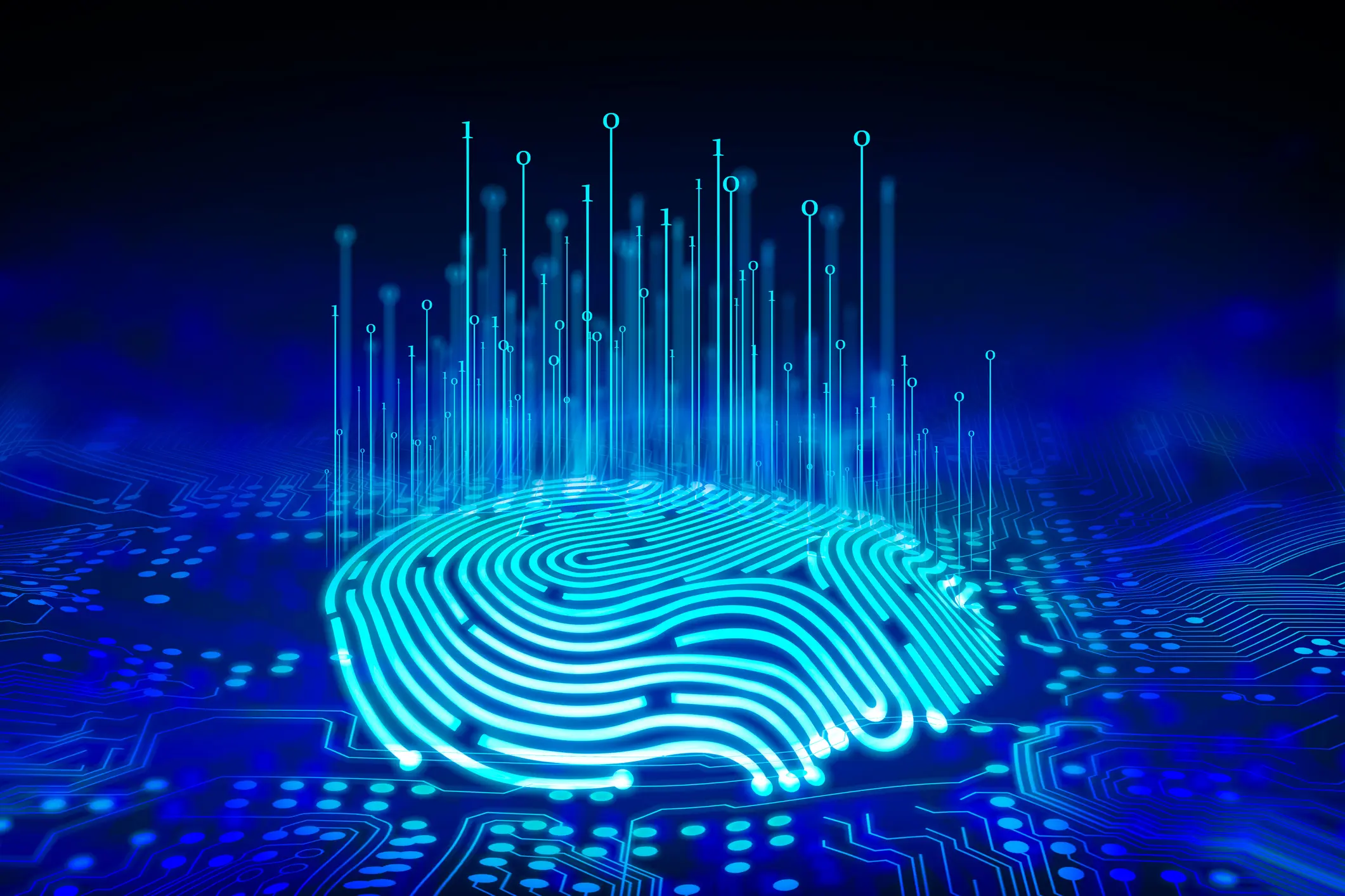 A fingerprint scanner is integrated into the printed circuit